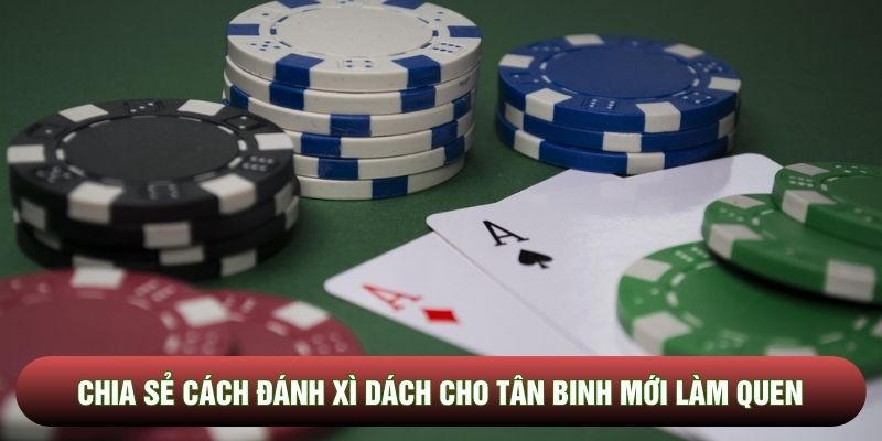 Chia sẻ cách đánh xì dách cho tân binh mới làm quen