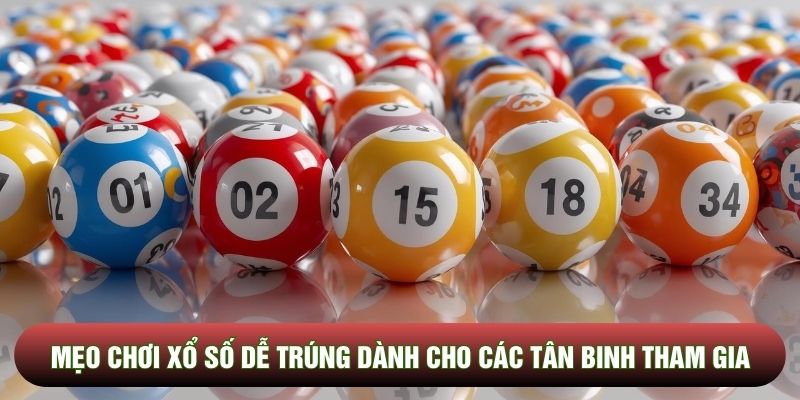 Mẹo Chơi Xổ Số Dễ Trúng Dành Cho Các Tân Binh Mới Tham Gia