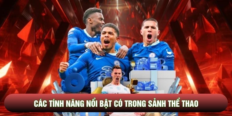 Các tính năng nổi bật có trong sảnh thể thao