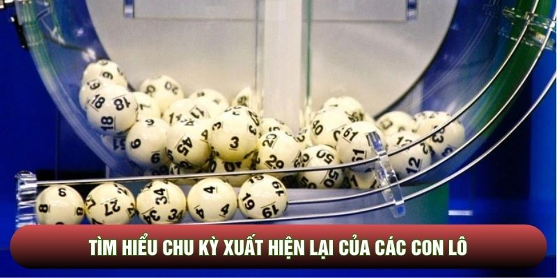 Tìm hiểu chu kỳ xuất hiện lại của các con lô